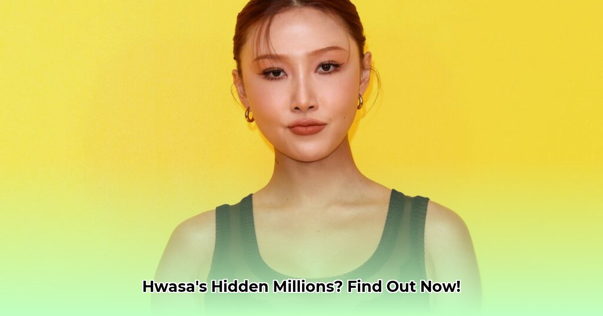 hwasa-net-worth